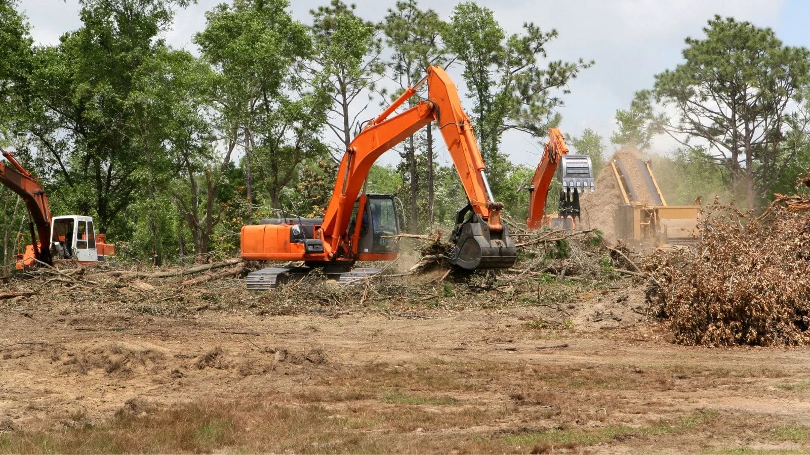 Excavators clearing trees and brush from wooded site with debris piles
