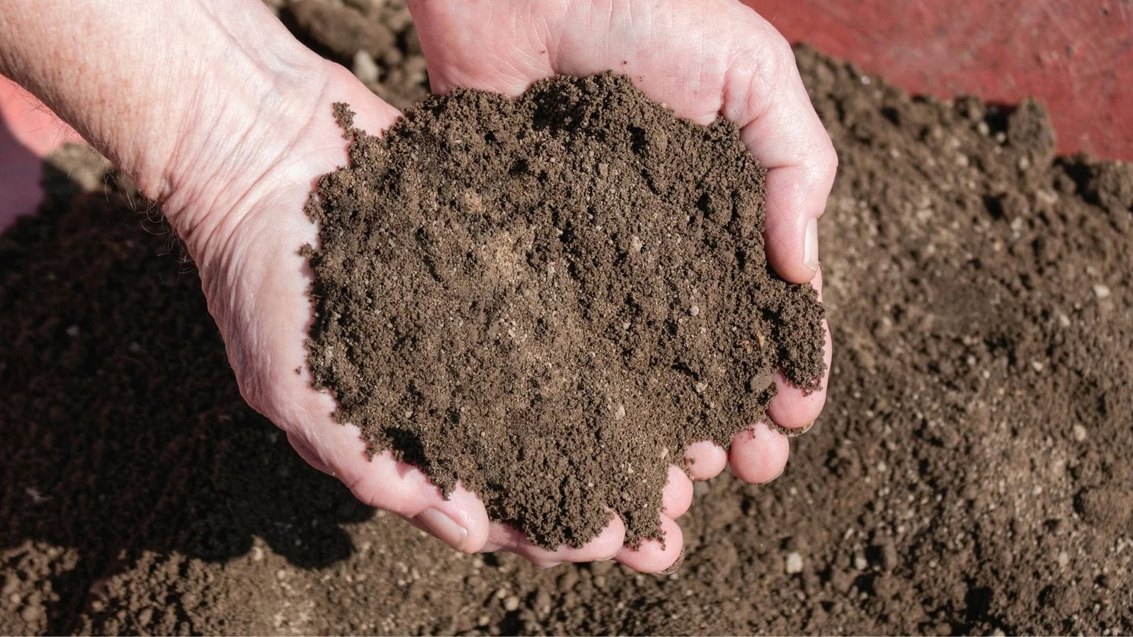 Hand holding compacted soil material for concrete foundation preparation